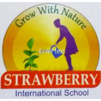 Strawberry International School