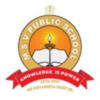 MSV Public School 